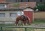 Parkoviště pro koně, kůň a jezdkyně
