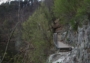 jarní příroda za mostem pod hradem Veveří...je tam krásně nato že je duben:)